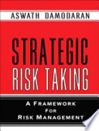 Strategic risk taking : A frame work risk management