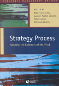 Strategy process : Shaping the Contours of The Field