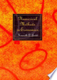 Numerical methods in Economics