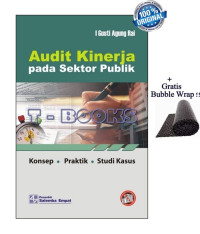 Audit Kinerja pada Sektor Publik