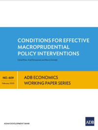 Conditions for effective macroprudential policy interventions
