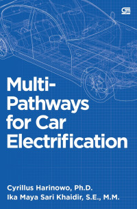 Multi-pathways for car electrification