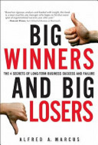 Big winners and big losers: the 4 Secrets of Long term business sucess and failure