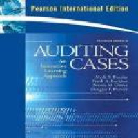 Auditing cases : an interactive learning approach