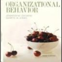 Organizational behavior : understanding and managing
