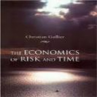 The economics of risk and time