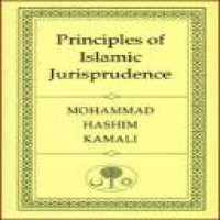 Principles of Islamic jurisprudence / Mohammad Hashim Kamali