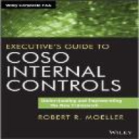 Executive's guide to COSO internal controls : understanding and implementing the new framework