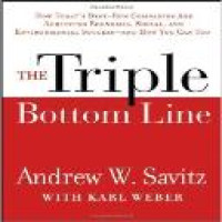 The Triple bottom line : how today's best-run companies are achieving economic, social, and environmental success--and how you can too