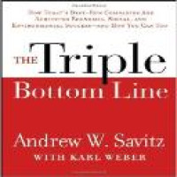 The triple bottom line : how today's best-run companies are achieving economic, social, and environmental success--and how you can too