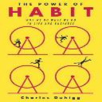 The power of habit : why we do what we do in life and business / Charles Duhigg