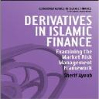 Derivatives in Islamic finance: examining the market risk management framework