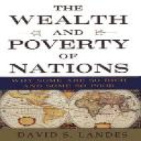 The wealth and poverty of nations : why some are so rich and some so poor / David S. Landes