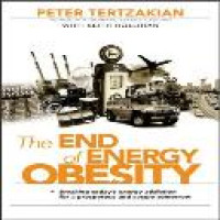 The end of energy obesity : breaking today's energy addiction for a prosperous and secure tomorrow / Peter Tertzakian with Keith Hollihan