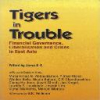 Tigers in trouble : financial governance and the crises in East asia