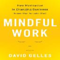 Mindful work : how meditation is changing business from the inside out / David Gelles