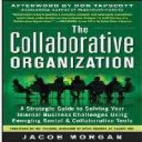 The collaborative organization : a strategic guide to solving your internal business challenges using emerging social and collaborative tools / Jacob Morgan