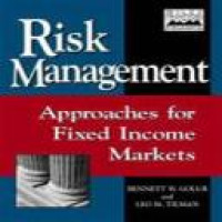 Risk management : approaches for fixed income markets / Bennett W. Golub, Leo M. Tilman