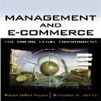 Finance and e-commerce : the online legal environment