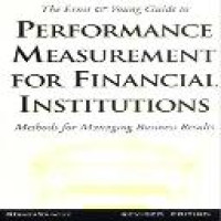 The Ernst & Young guide to performance measurement for financial institutions : methods for managing business results