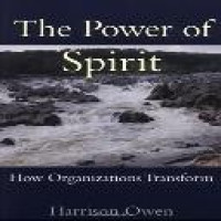 The Power of spirit : how organizations transform