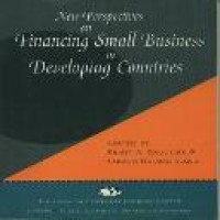 New perspectives on financing small business in developing countries