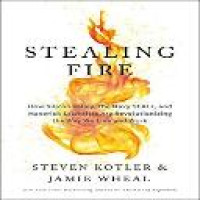 Stealing fire : how Silicon Valley, the Navy SEALS, and maverick scientists are revolutionizing the way we live and work / Steven Kotler & Jamie Wheal