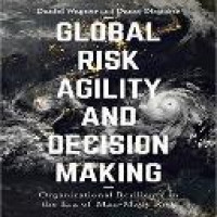 Global risk agility and decision making : organizational resilience in the era of man-made risk / Daniel Wagner, Dante Disparte