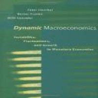 Dynamic macroeconomics instability, fluctuations, and growth in monetary economies