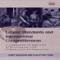 Labour standards and international competitiveness : a comparative analysis of developing and industrialized countries