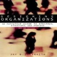 Designing organizations : an executive guide to strategy, structure, and process