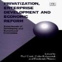 Privatization, enterprise development and economic reform : experiences of developing and transitional economies