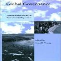 Global governance : drawing insights from the environmental experience