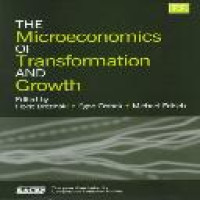 The Microeconomics of transformation and growth