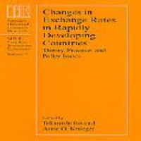 Changes in exchange rates in rapidly developing countries : theory, practice and policy issues