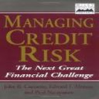 Managing credit risk : the next great financial challenge