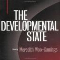 The developmental state